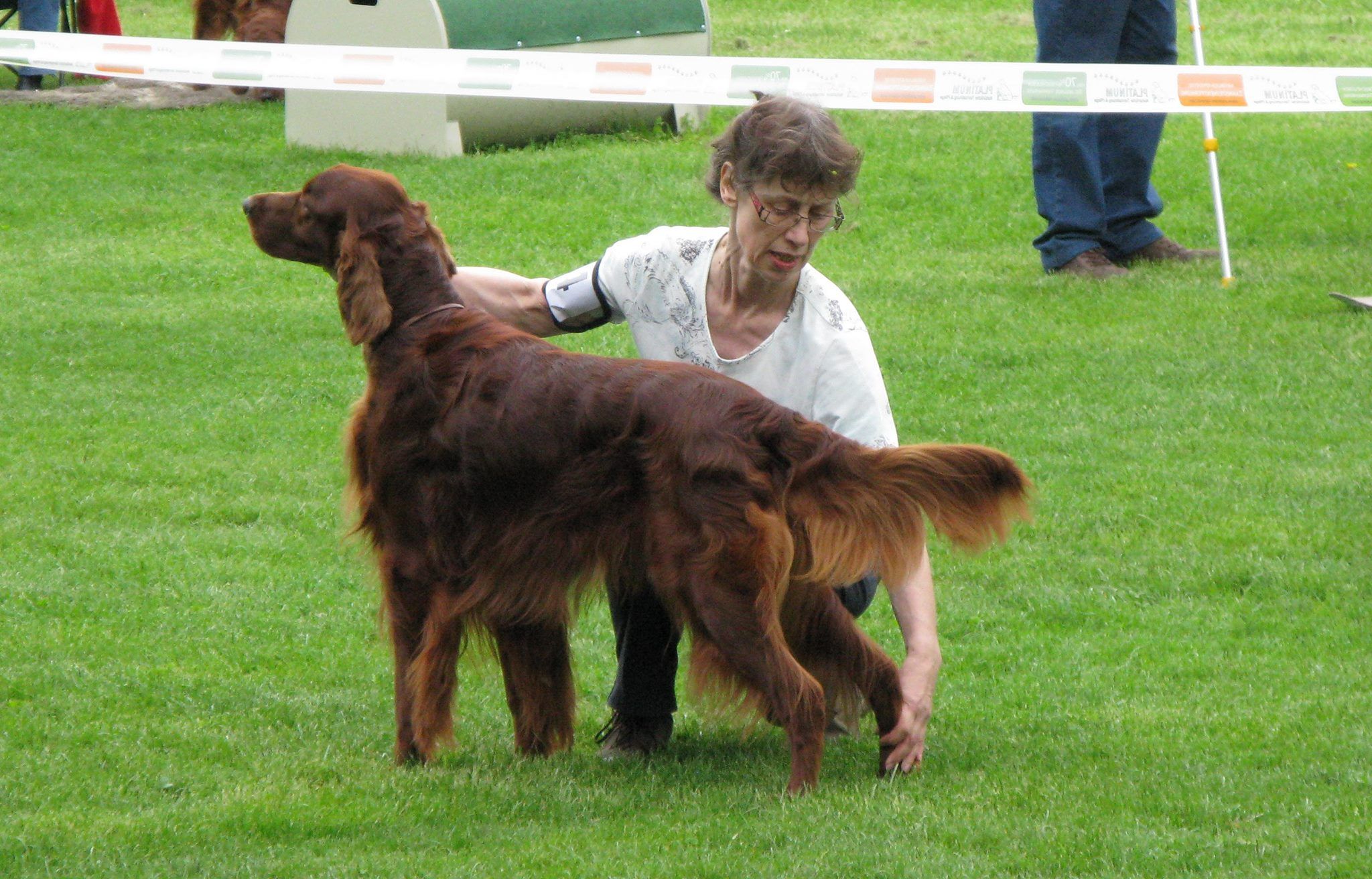 Norman Rassenhundeausstellung